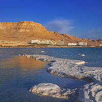 Buy canvas prints of Salt deposits, typical landscape of the Dead Sea. by Olga Peddi
