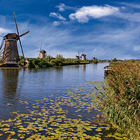 Buy canvas prints of Windmill in Kinderdijk, Holland by Olga Peddi