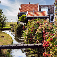 Buy canvas prints of Traditional dutch Village with with colorful house by Olga Peddi