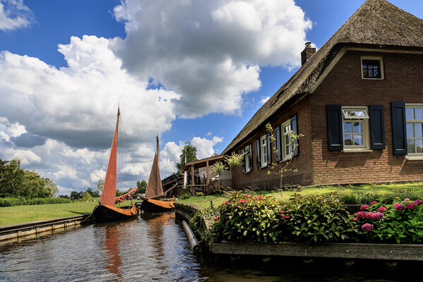 Traditional dutch brick houses with lush green law Picture Board by Olga Peddi