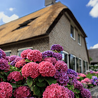 Buy canvas prints of Traditional dutch brick houses in idyllic Giethoor by Olga Peddi