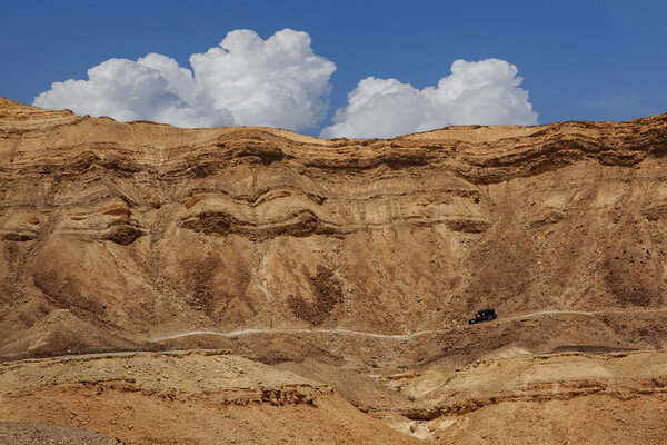 The Negev mountain desert view. Israel Picture Board by Olga Peddi