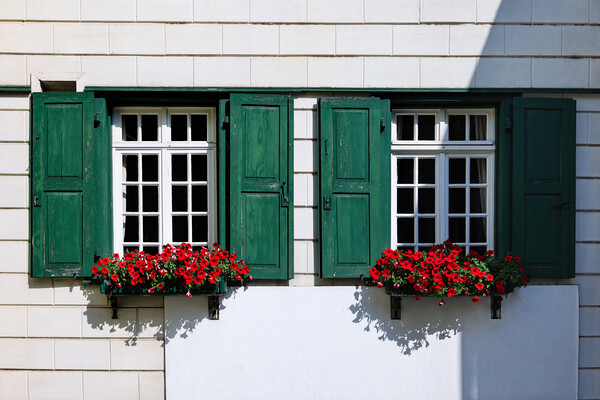 Windows in Monschau Picture Board by Olga Peddi