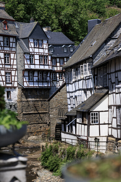 Medieval fachwerk houses in Monschau Old town, Ger Picture Board by Olga Peddi