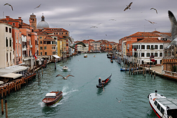 Panoramic view of famous Grand Canal in the winter Picture Board by Olga Peddi