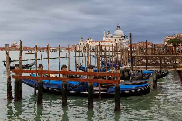  Gondolas on Grand Canal. Venice, Italy Picture Board by Olga Peddi