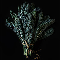 Buy canvas prints of Bouquet of green Kale leaves on a dark background. by Olga Peddi