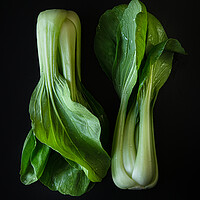 Buy canvas prints of Bok choy cabbage isolated on a black background.  by Olga Peddi