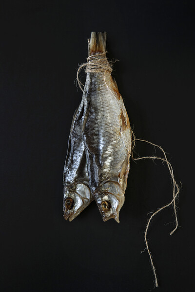 Traditional dried fish on a black background.  Picture Board by Olga Peddi