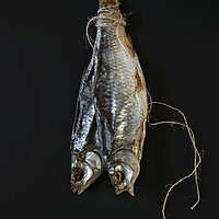 Buy canvas prints of Traditional dried fish on a black background.  by Olga Peddi