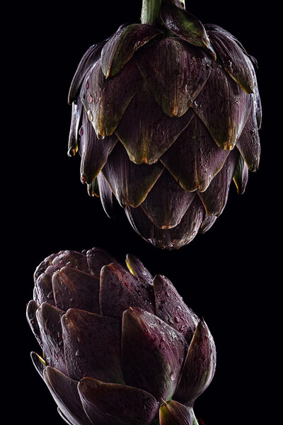 Fresh raw artichokes on black background. Ripe org Picture Board by Olga Peddi