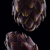 Buy canvas prints of Fresh raw artichokes on black background. Ripe org by Olga Peddi