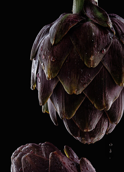 Fresh raw artichokes on black background.  Picture Board by Olga Peddi