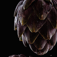 Buy canvas prints of Fresh raw artichokes on black background.  by Olga Peddi