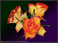 Click to show how this picture will look as a piece of wall art