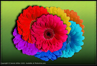 Click to show how this picture will look as a piece of wall art