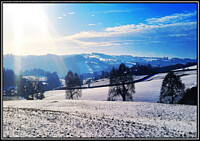 Click to show how this picture will look as a piece of wall art