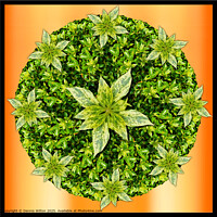 Japanese Laurel Wreath Art