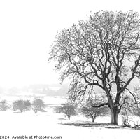 Buy canvas prints of Winter on The Chevin, West Yorkshire by Bradley Taylor