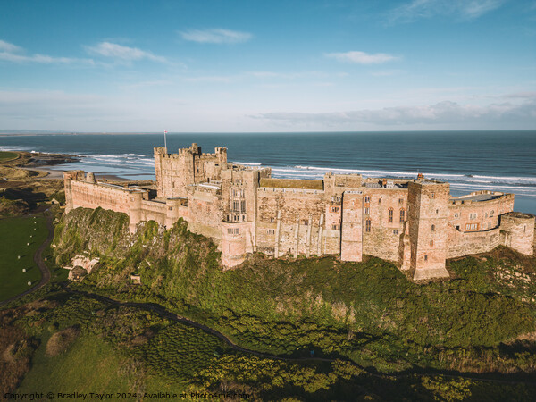 Aerial View of Bamburgh Castle, Northumberland Picture Board by Bradley Taylor