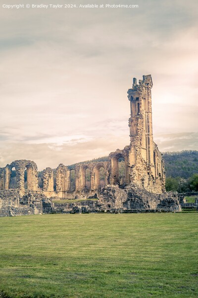Ruins of Byland Abbey, North Yorkshire Picture Board by Bradley Taylor