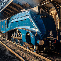 Buy canvas prints of Mallard Steam Locomotive in York Station by T2 