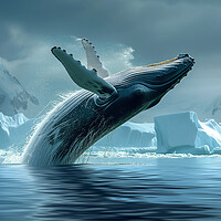Buy canvas prints of Humpback Whale Breaching by T2 