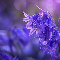 Buy canvas prints of  Bluebells ~ Spring turns to Summer by T2 