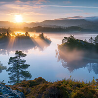 Buy canvas prints of Tarn Hows English Lake District by T2 