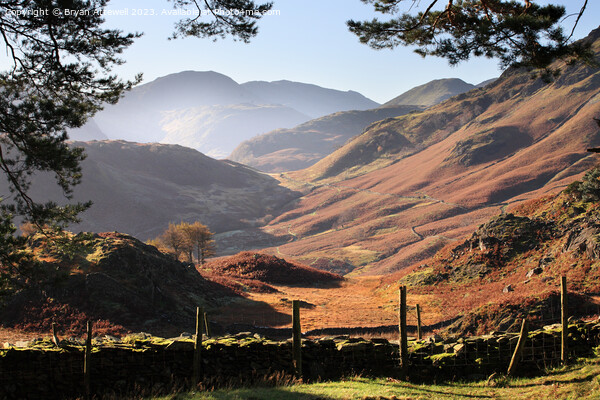 Borrowdale from Castle Crag  Picture Board by Bryan Attewell