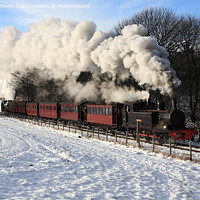 Buy canvas prints of North Pole Express on the Tanfield Railway  by Bryan Attewell