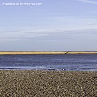 Buy canvas prints of Man carrying driftwood, Roker beach, Sunderland. by Bryan Attewell