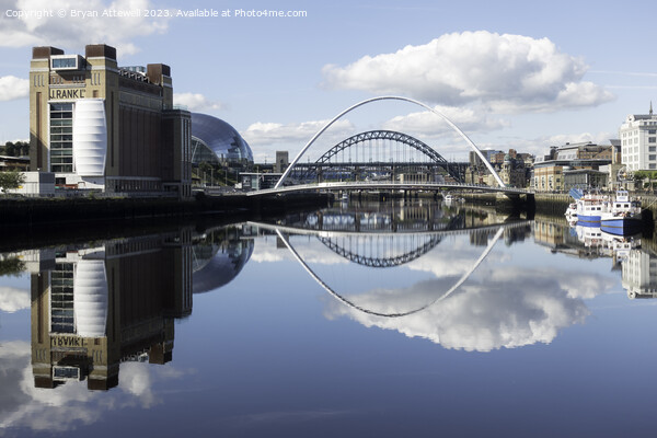 Bridges reflected in the river Tyne  Picture Board by Bryan Attewell