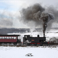 Buy canvas prints of The Santa Special or Polar Express on the Tanfield Railway by Bryan Attewell