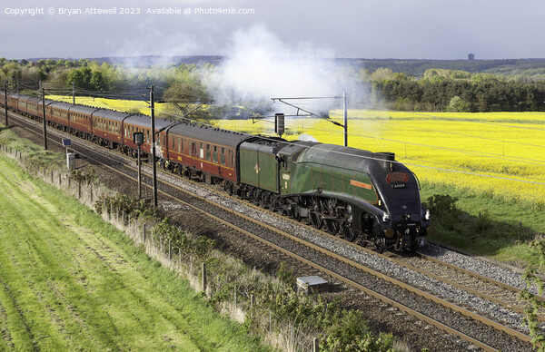A4 pacific No. 60009 Union of South Africa Picture Board by Bryan Attewell