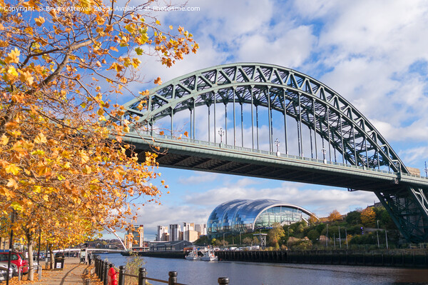 The Tyne bridge in autumn Picture Board by Bryan Attewell
