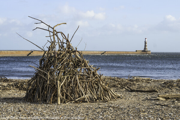 Driftwood stack on Roker beach  Picture Board by Bryan Attewell