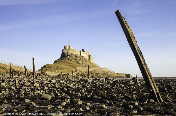 Lindisfarne Castle Picture Board by Bryan Attewell