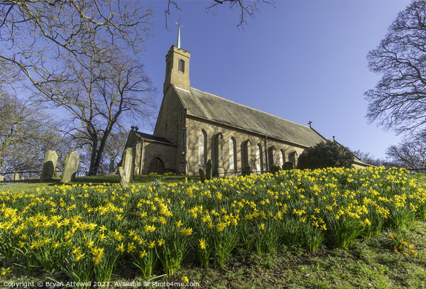 Spring view of daffodils and Holy Trinity church Picture Board by Bryan Attewell
