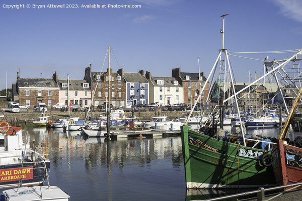 Boats moored in Arbroath harbour Picture Board by Bryan Attewell