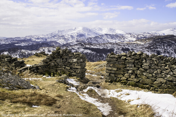 Winter view Lake District Picture Board by Bryan Attewell