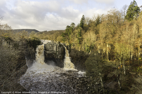 High Force waterfall Picture Board by Bryan Attewell