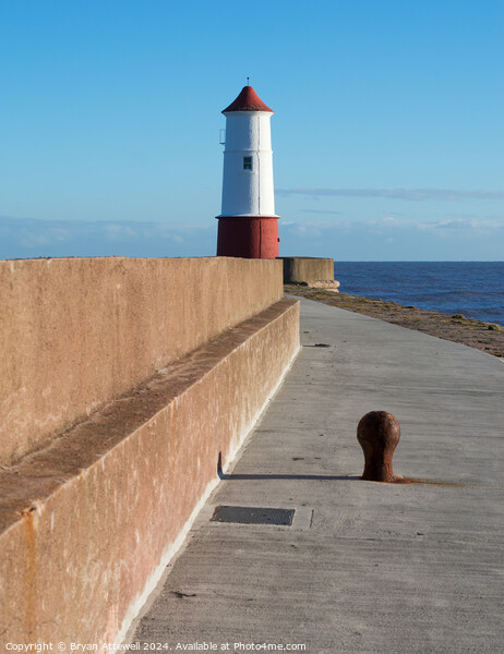 Berwick pier and lighthouse Picture Board by Bryan Attewell