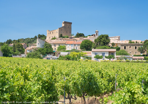 Chateauneuf du Pape Picture Board by Bryan Attewell
