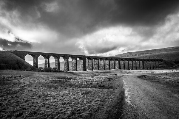 Ribblehead Viaduct Black and White Picture Board by Jack Biggadike