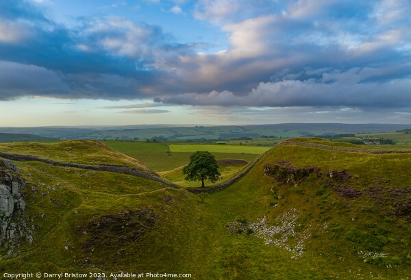 Sycamore Gap by DJI Mavic 3 Picture Board by Darryl Bristow
