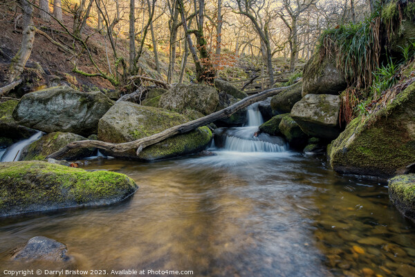 Burbage Brook through Padley Gorge Picture Board by Darryl Bristow
