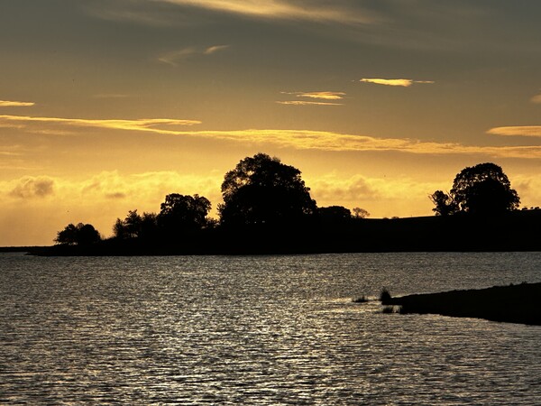 Sunrise in Staffordshire, Blithfield Reservoir  Picture Board by Dorin Budeanu