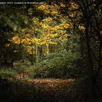 Buy canvas prints of Autumn Walk at Hanningfield Reservoir by Andy Salter