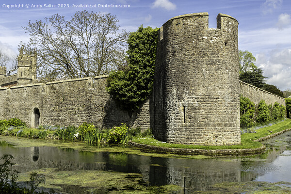 The Bishops Palace and Gardens Wells Somerset Picture Board by Andy Salter